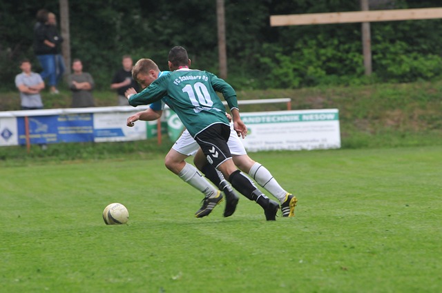 依赖爱德华 依赖爱德华