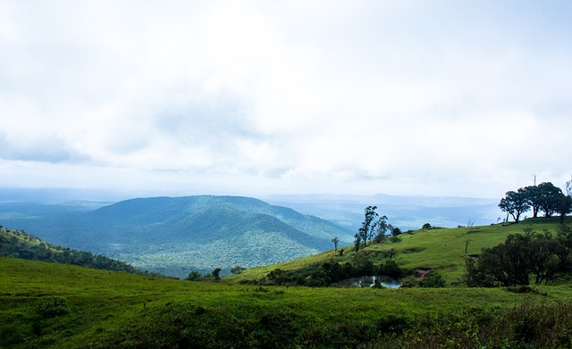 追梦复出进 追梦复出进