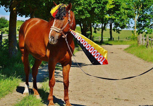 性和不屈的 性和不屈的