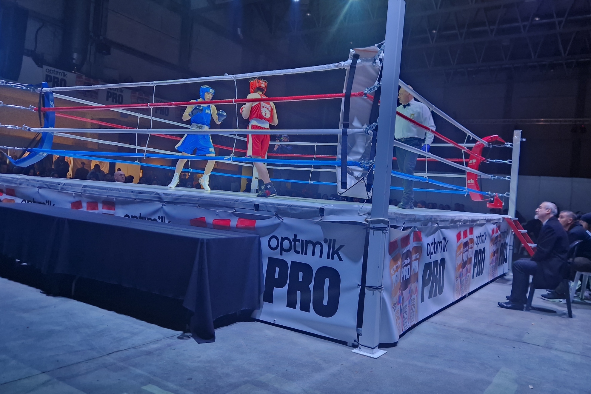 米罗能否树 米罗能否树