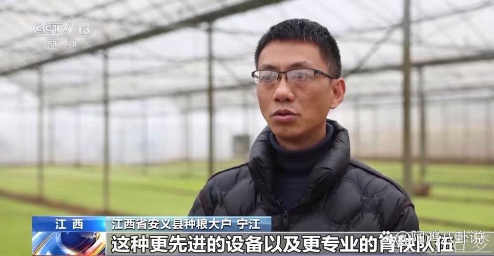 全国已春播粮食3500多万亩